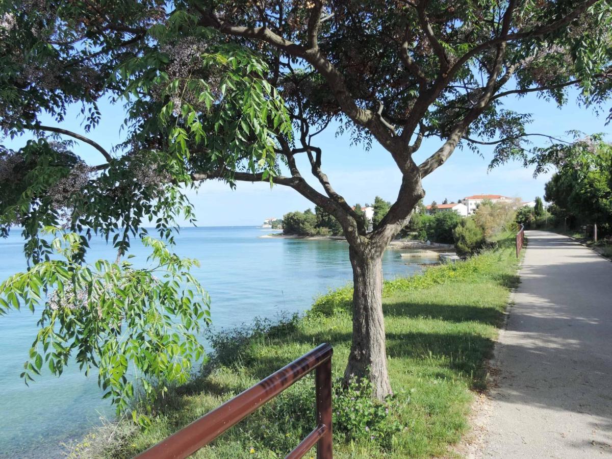 Apartment Mila 扎达尔 外观 照片